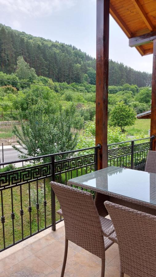 Forest Apartment Sapareva Banja Exteriér fotografie