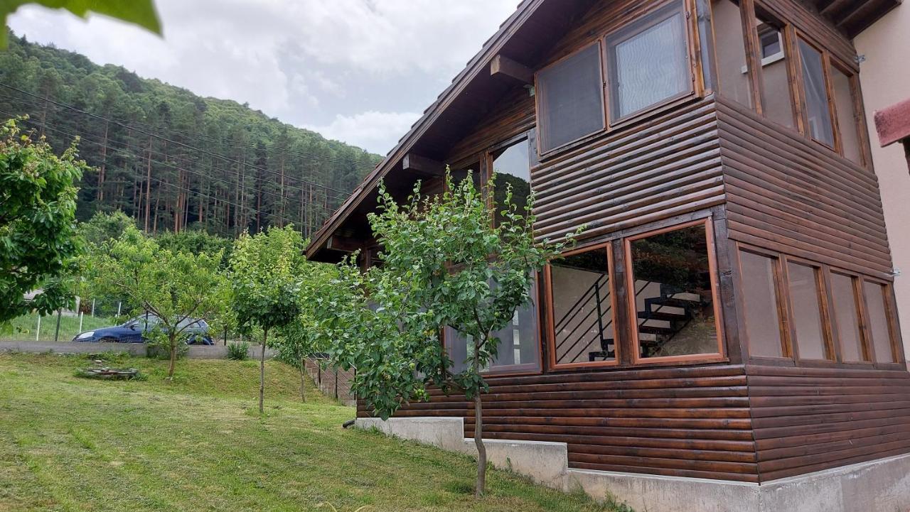Forest Apartment Sapareva Banja Exteriér fotografie