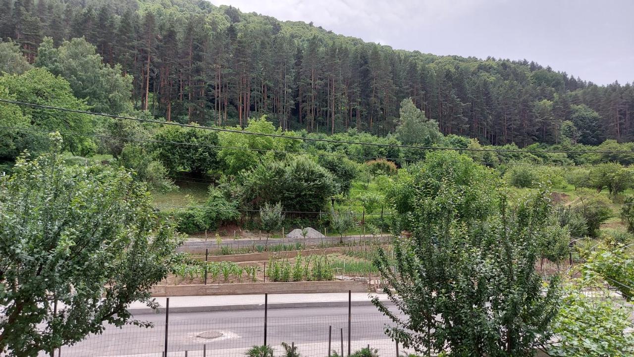 Forest Apartment Sapareva Banja Exteriér fotografie